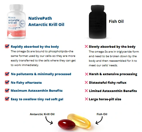 NativePath Antarctic Krill Oil vs Other Fish Oil Product